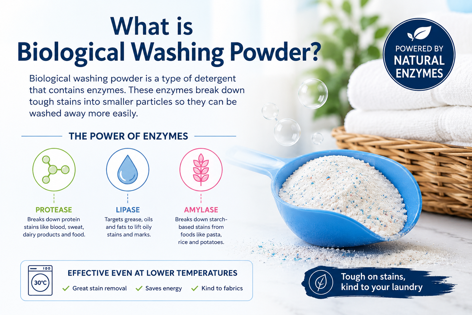 What is Biological washing powder
